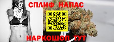 мдпв Ефремов