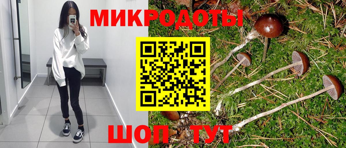 Галлюциногенные грибы Magic Shrooms Дзержинский