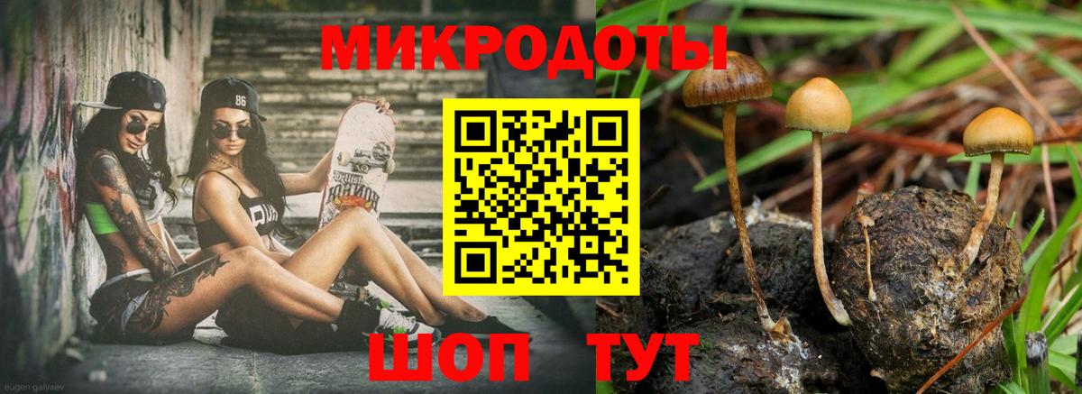 Псилоцибиновые грибы Psilocybe  наркотики  Дзержинский  Вход с VPN 